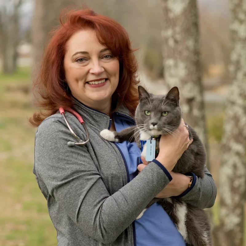 Valley Animal Hospital & Pet Resort - Dr. Angela Cancannon - DVM Valley Animal Hospital & Pet Resort - Dr. Angela Cancannon - DVM
