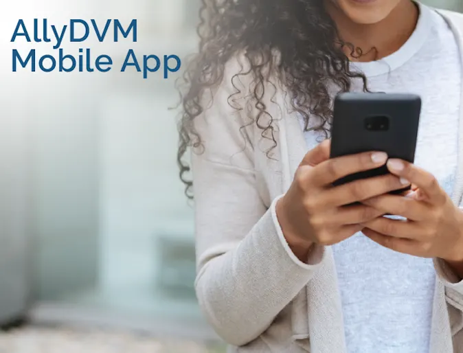 AllyDVM logo AllyDVM logo