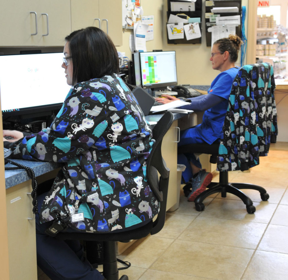Two staff members working at desks