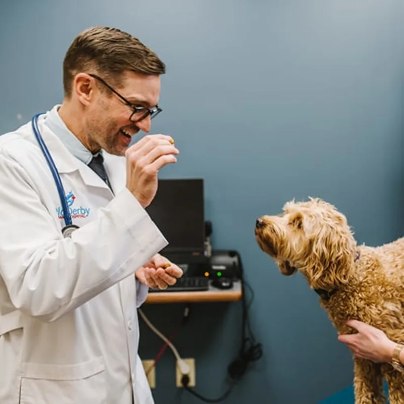 Dr. Mason Butler Dr. Mason Butler
