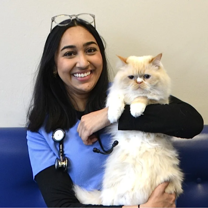 Dr. Saanya Karim Dr. Saanya Karim