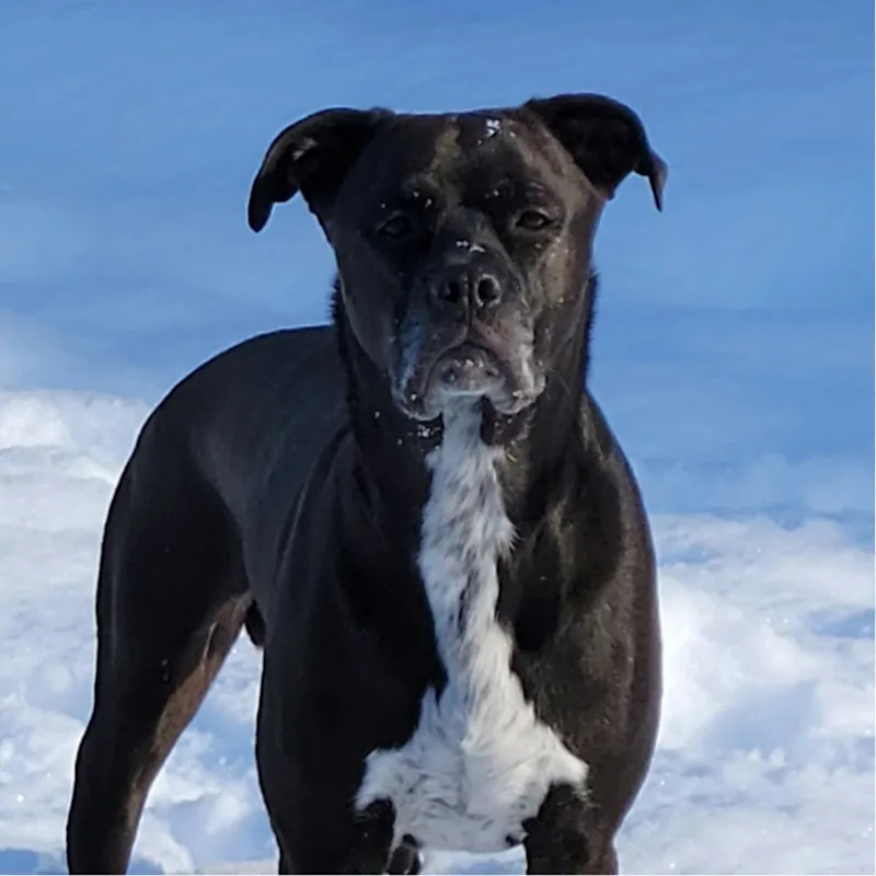 Kim Harris Kim Harris