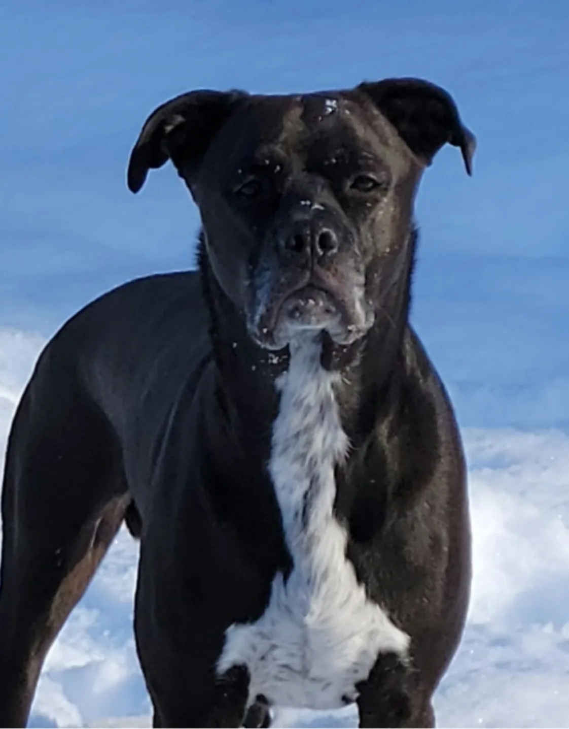 Kim Harris Kim Harris