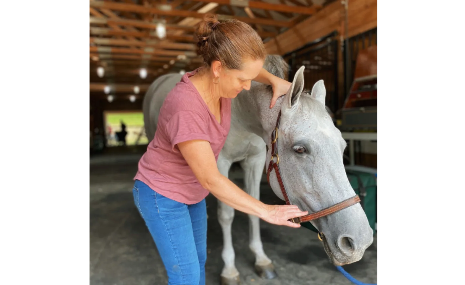 Staff member working with a gray horse.