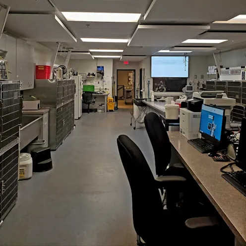Empty emergency room area at Westbridge Veterinary Referral Hospital Empty emergency room area at Westbridge Veterinary Referral Hospital