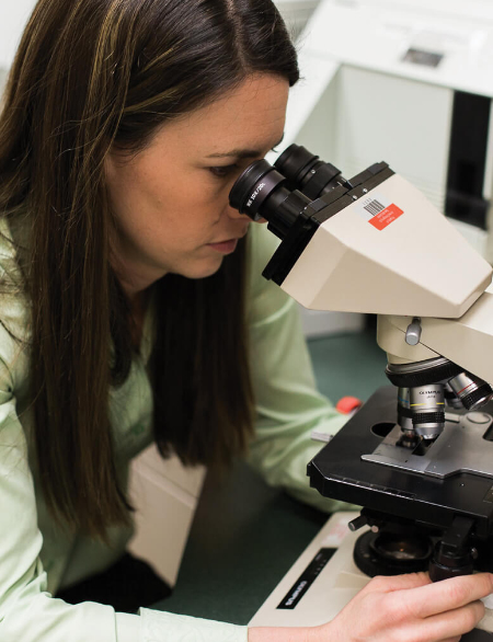 vet looking into microscope