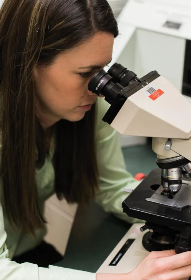 vet looking into microscope vet looking into microscope