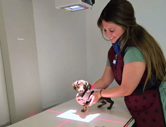 Emergency Readiness Quiz: Are you prepared for the unexpected? Emergency Readiness Quiz: Are you prepared for the unexpected?