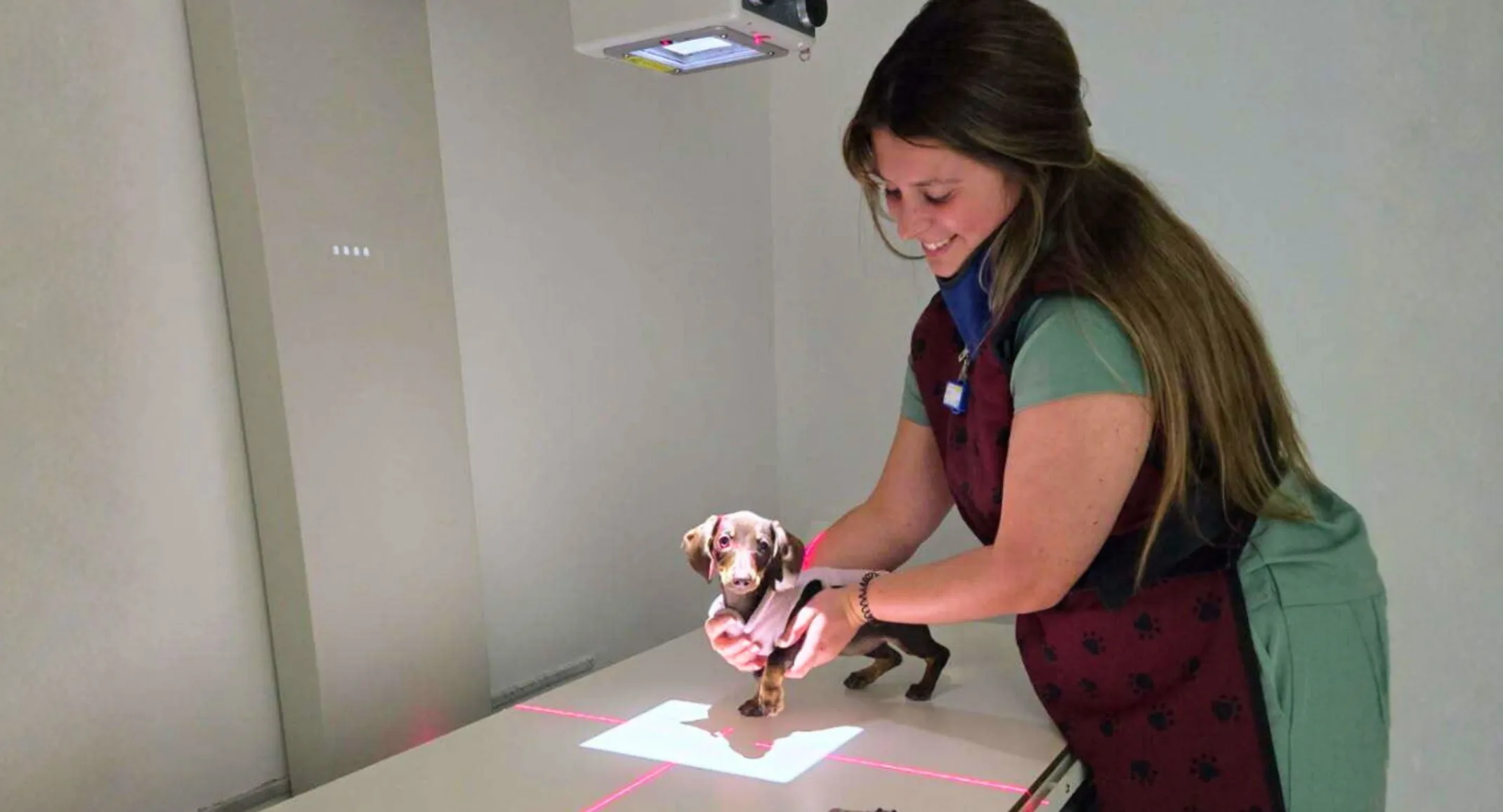 Emergency Readiness Quiz: Are you prepared for the unexpected? Emergency Readiness Quiz: Are you prepared for the unexpected?