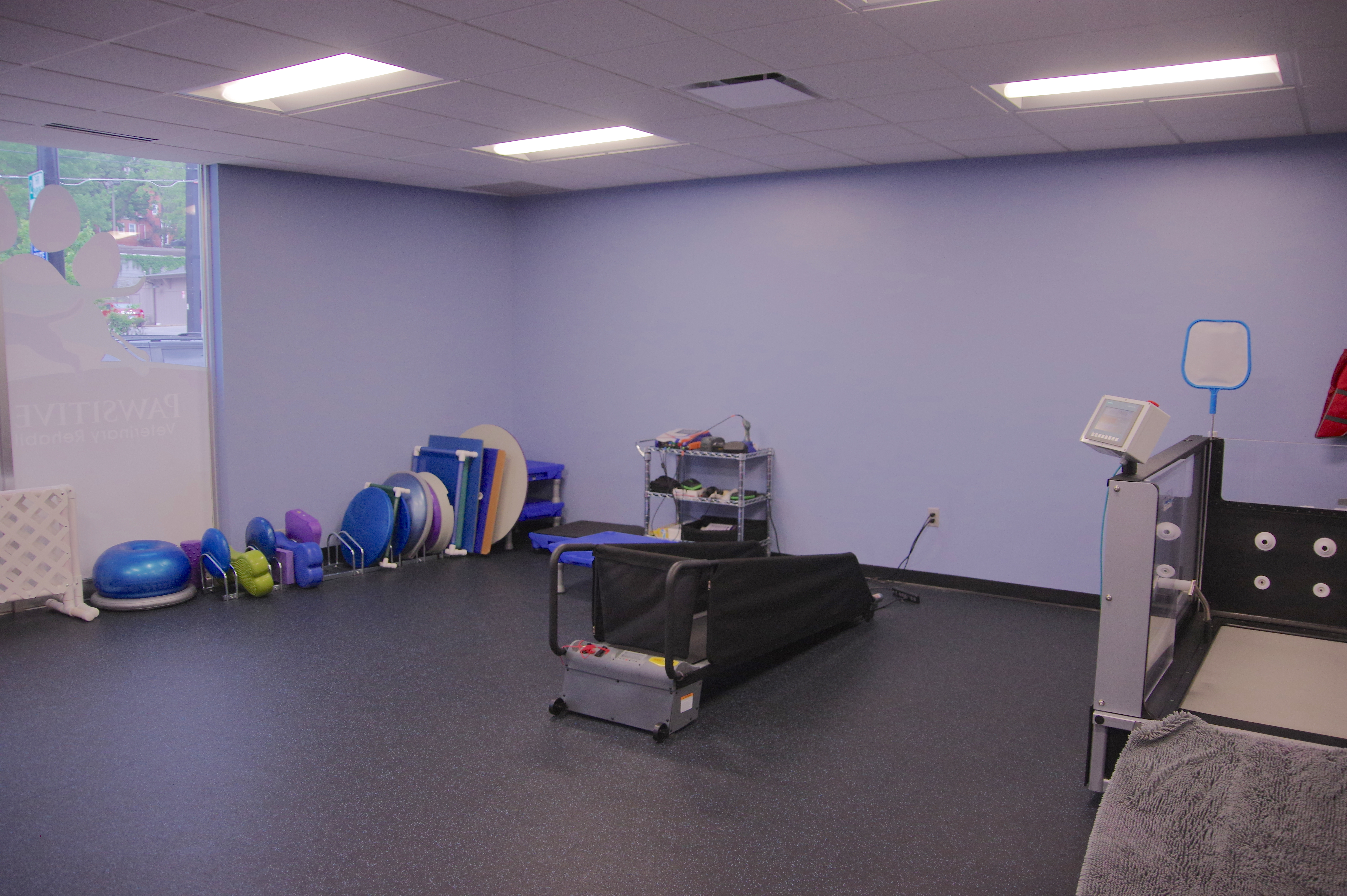 Pawsitive Strides' exercise room, filled with equipment.