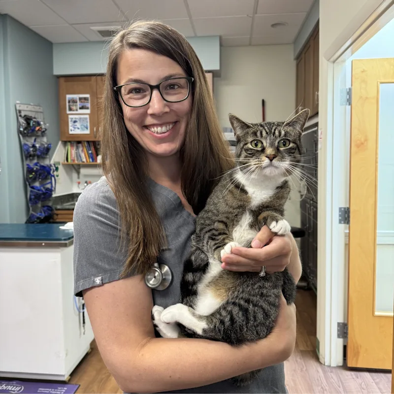 Dr. Abigail Mulligan Dr. Abigail Mulligan