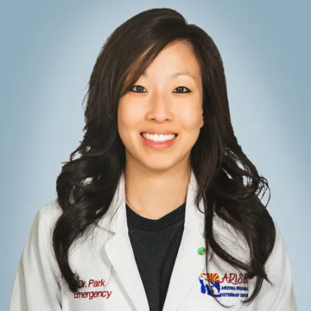 Dr. Shery Park at ARISE