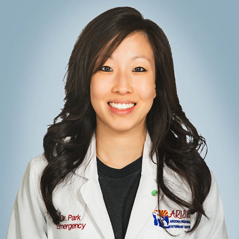 Dr. Shery Park at ARISE Dr. Shery Park at ARISE