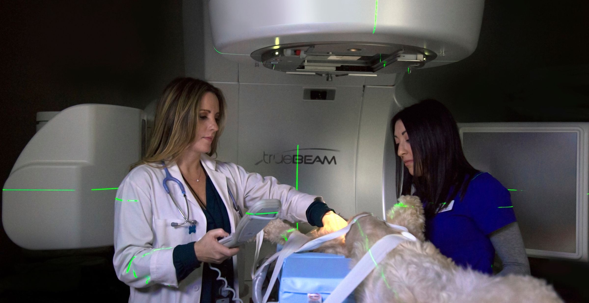 Radiation oncology at Animal Specialty Center