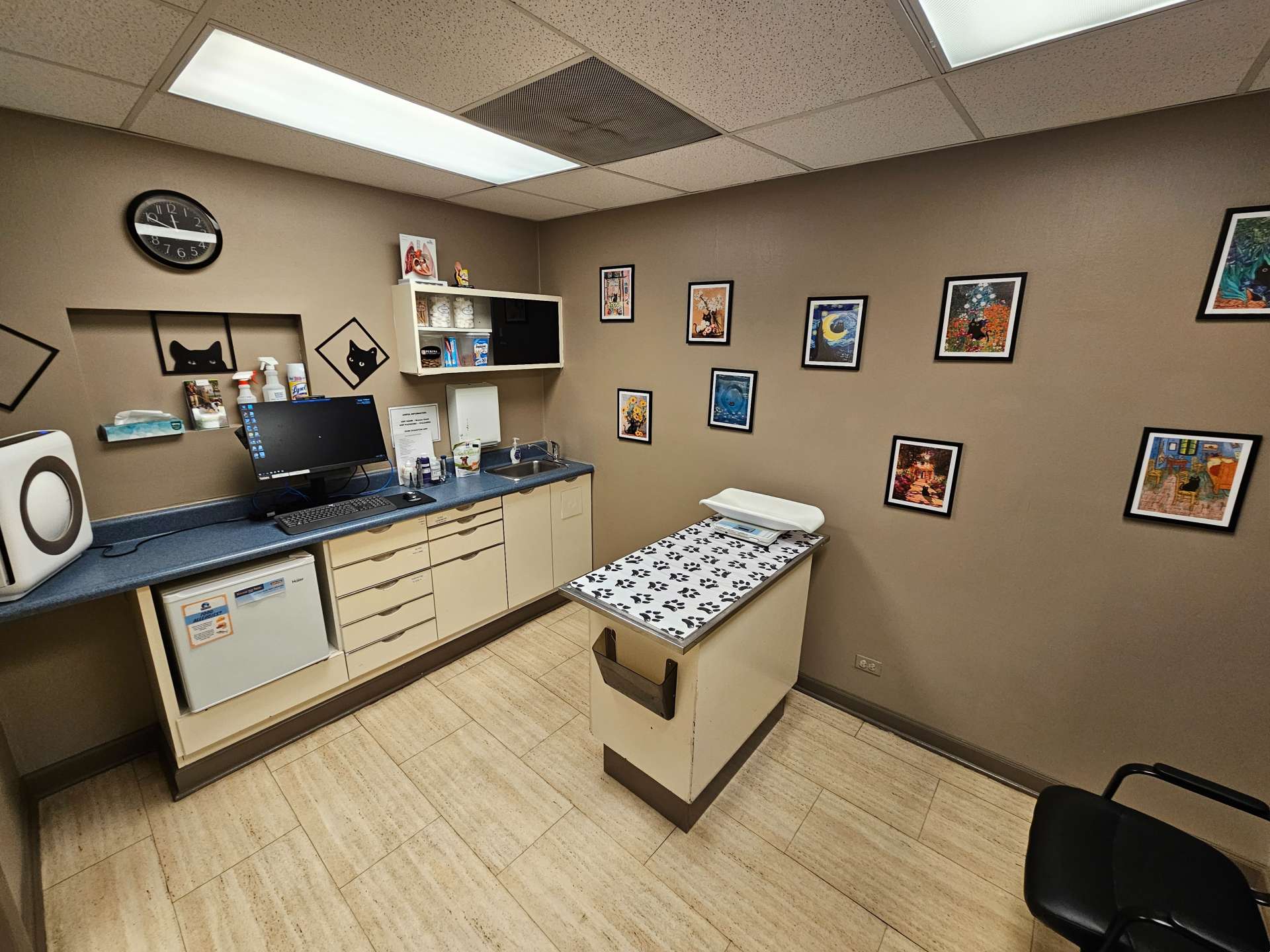 Bramer Animal Hospital Exam Room