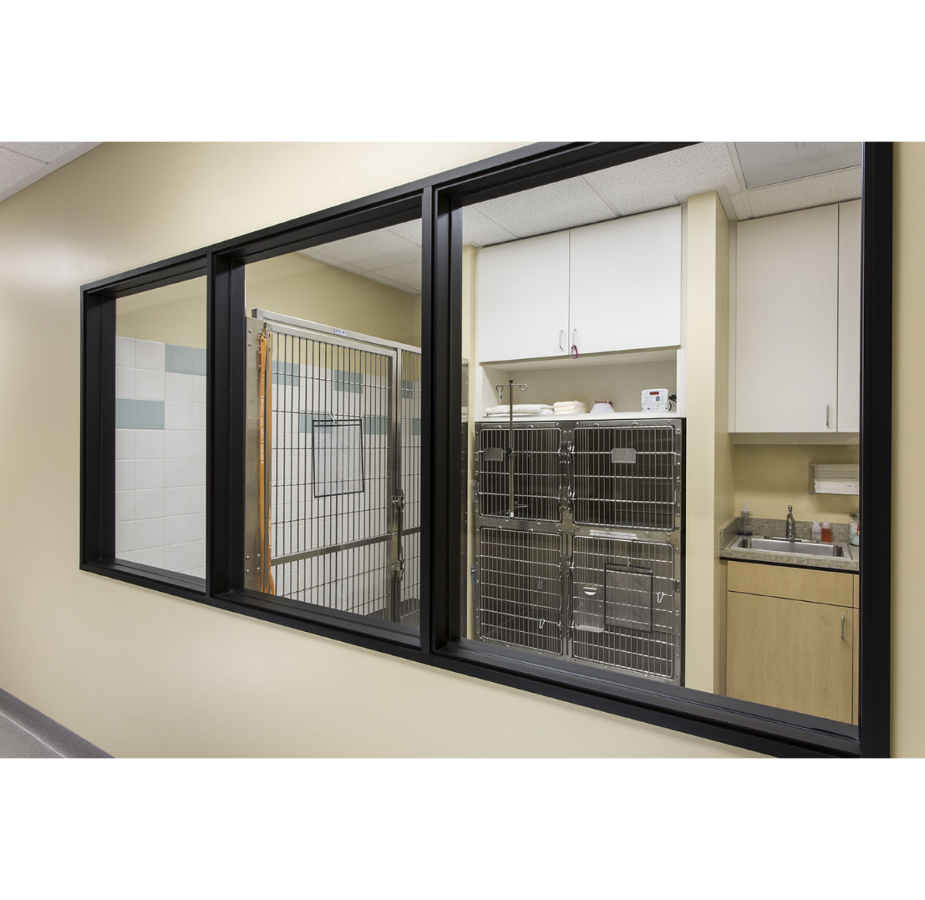 Window View of Kennels