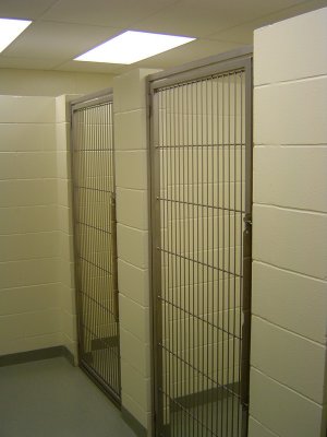 Small Animal Hospital Boarding