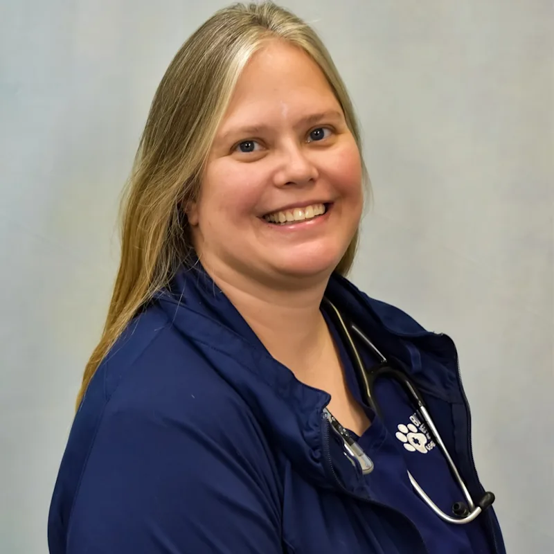 Dr. Amy Wilson Dr. Amy Wilson