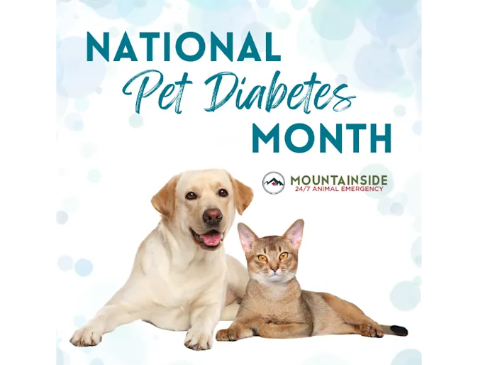 National Pet Diabetes Month Blog Image National Pet Diabetes Month Blog Image