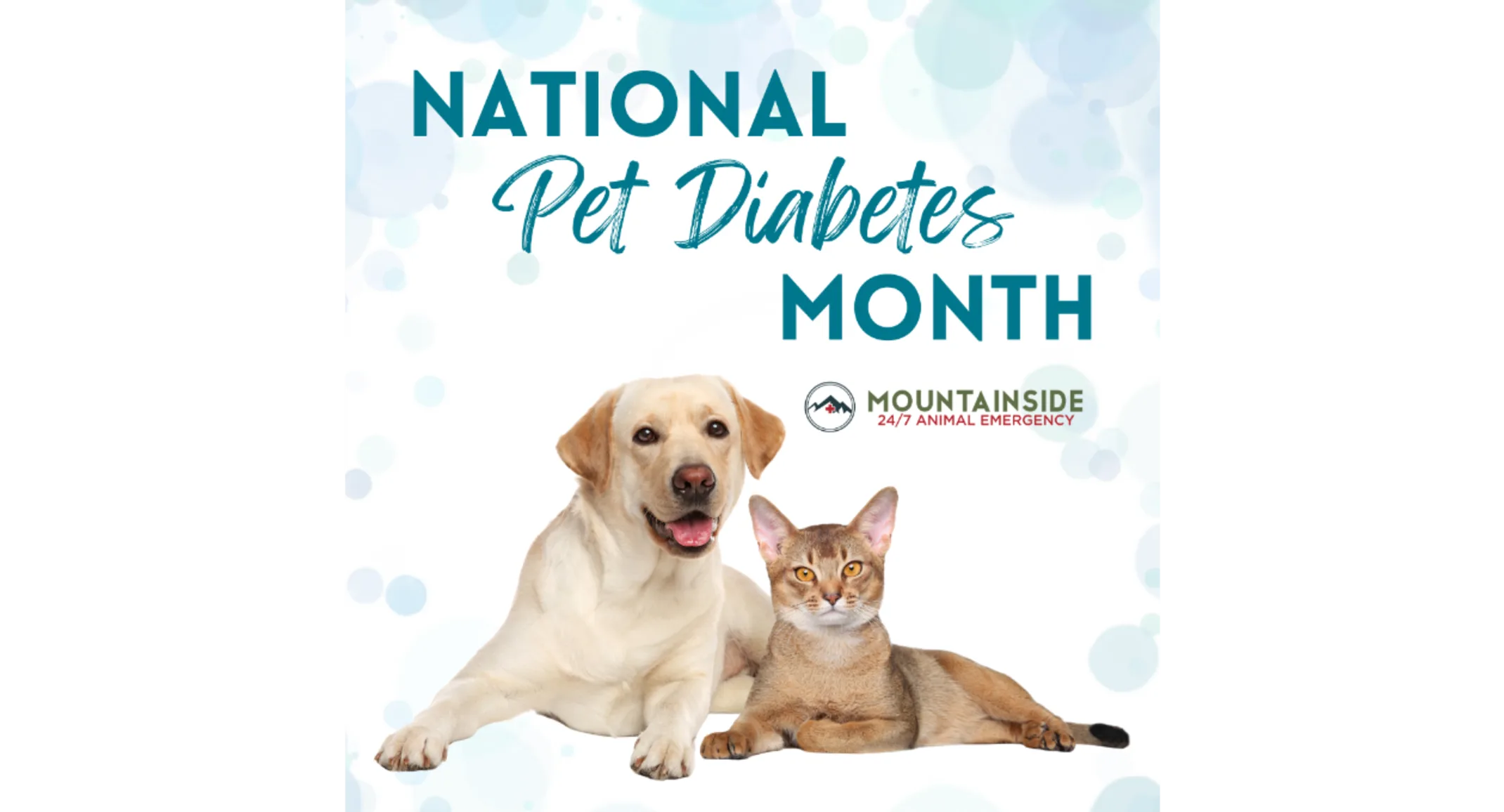 National Pet Diabetes Month Blog Image National Pet Diabetes Month Blog Image
