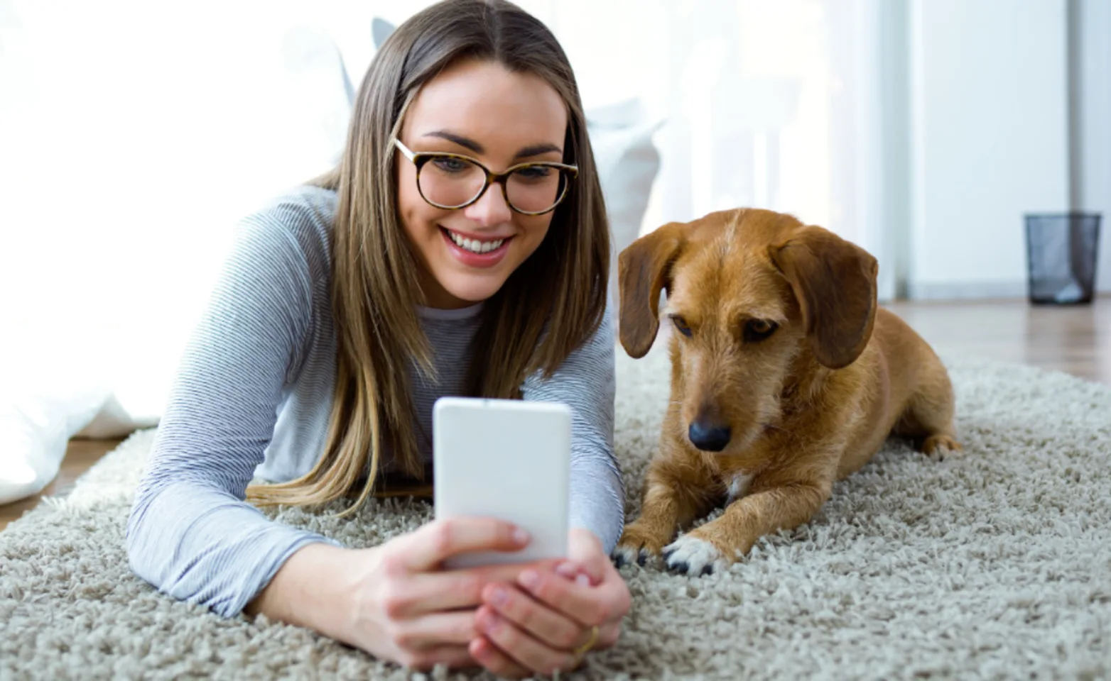 Girl on Phone with Dog Lying on Carpet Girl on Phone with Dog Lying on Carpet