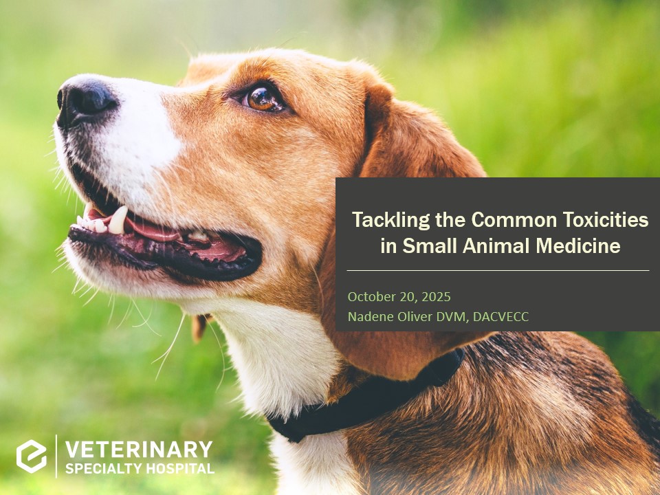 Tackling the Common Toxicities in Small Animal Medicine