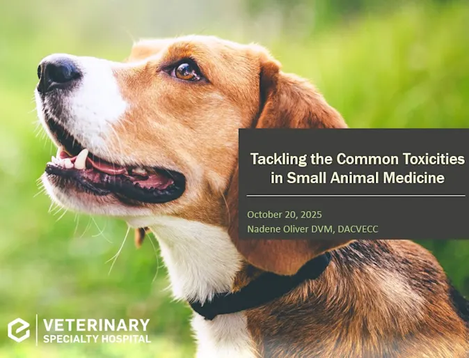 Tackling the Common Toxicities in Small Animal Medicine Tackling the Common Toxicities in Small Animal Medicine