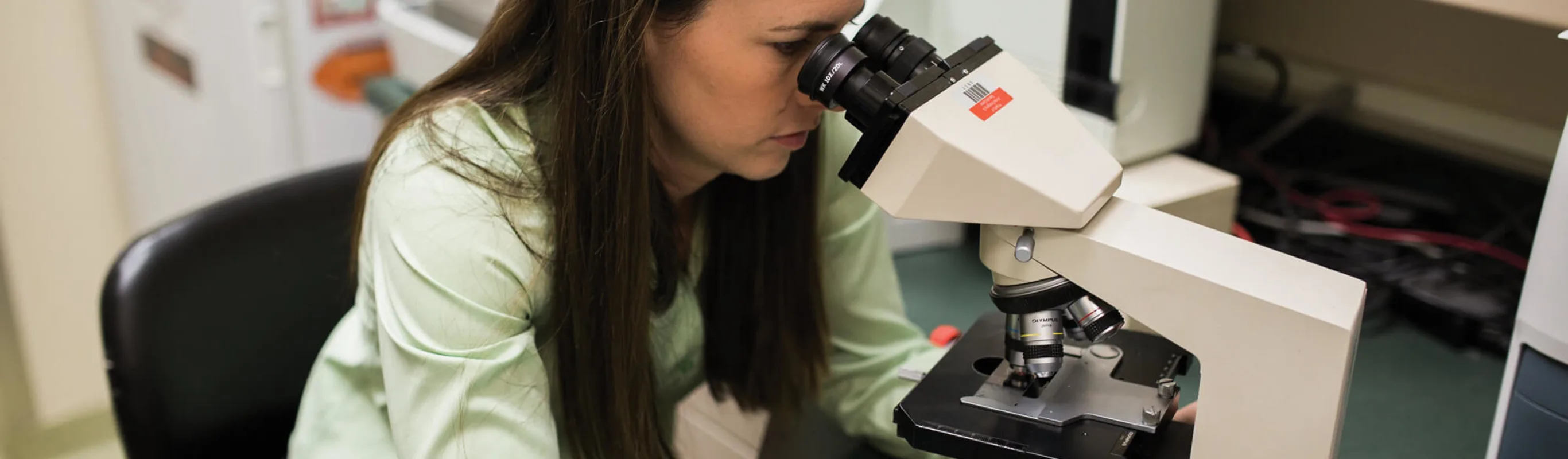 Vet looking through a microscope Vet looking through a microscope