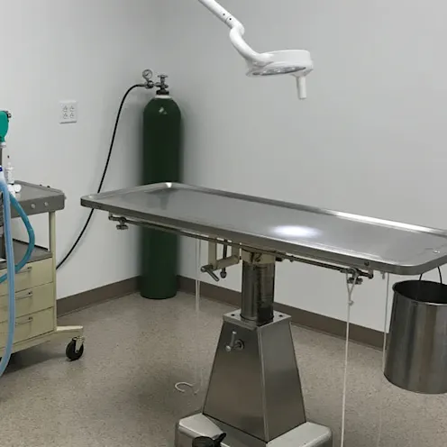 Surgical table Surgical table