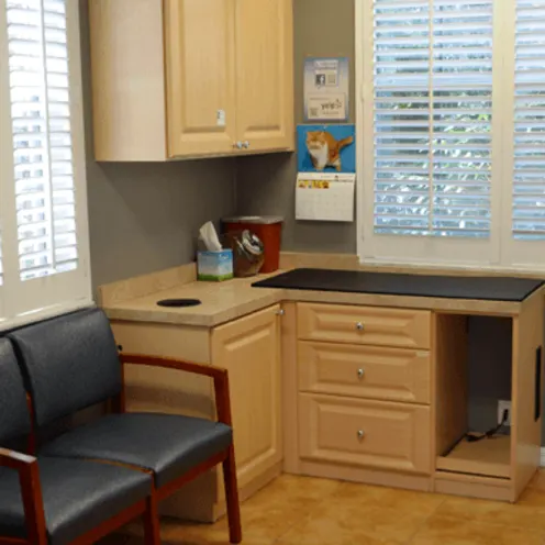 Critical Care/Surgical Center - Exam Room Critical Care/Surgical Center - Exam Room