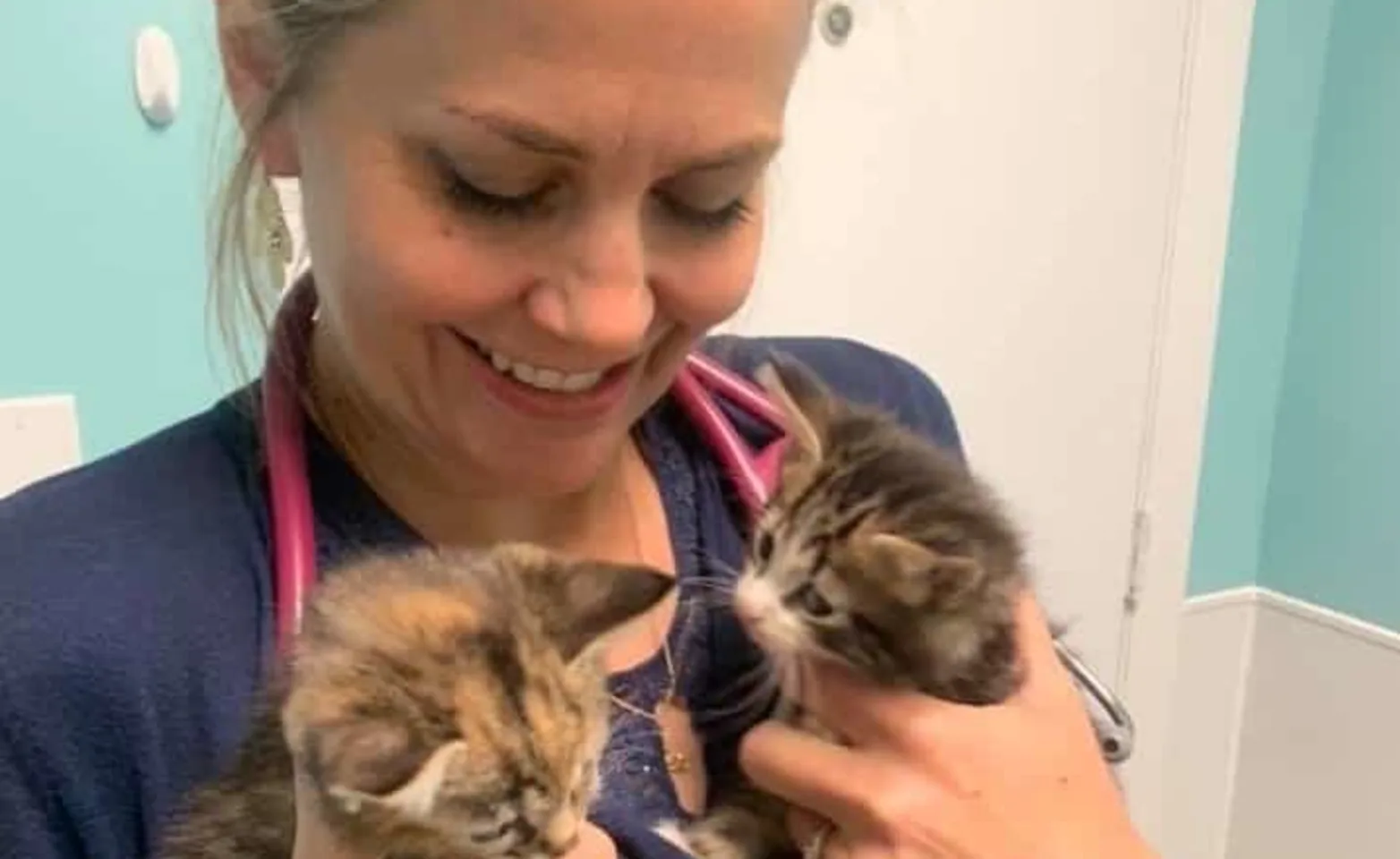 Strawbridge Animal Care staff member holding two small kittens