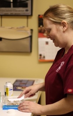 Warren Woods Veterinary Hospital Lab