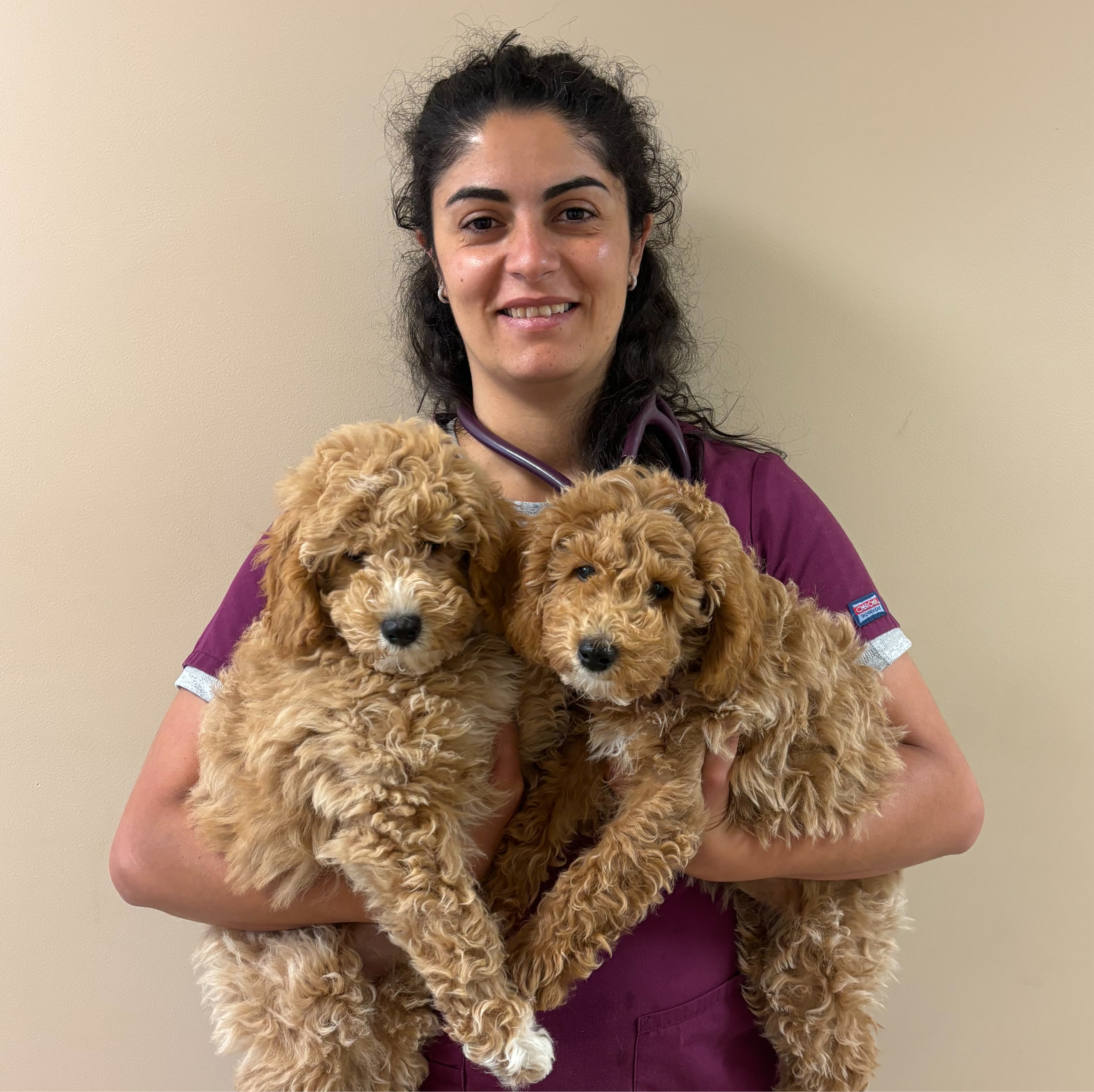 Dr. Jihane Abou-Ezzi