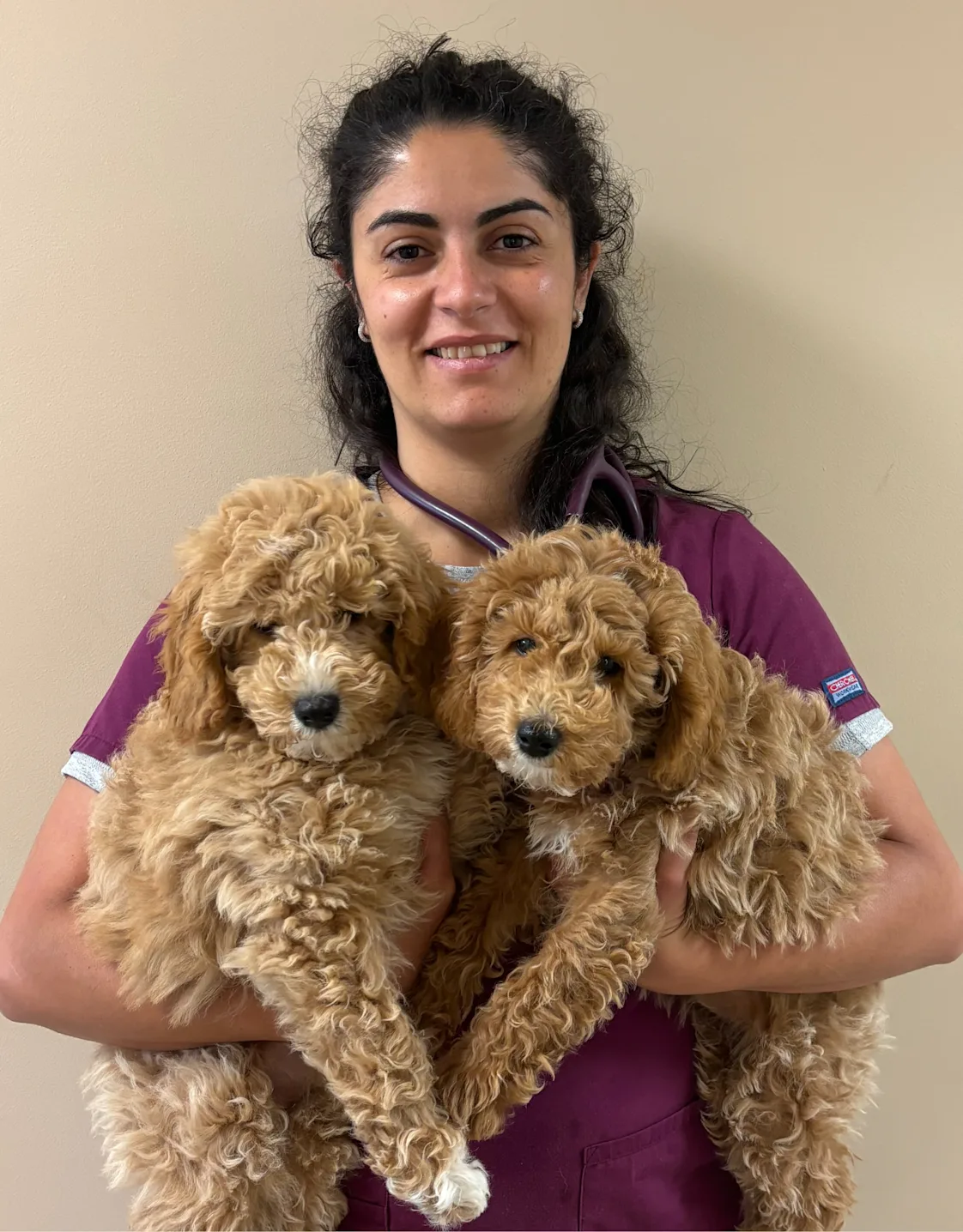 Dr. Jihane Abou-Ezzi Dr. Jihane Abou-Ezzi