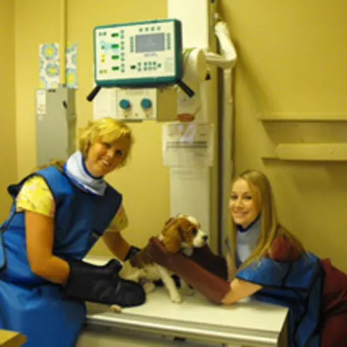 Murrieta Oaks Veterinary Hospital Xray
