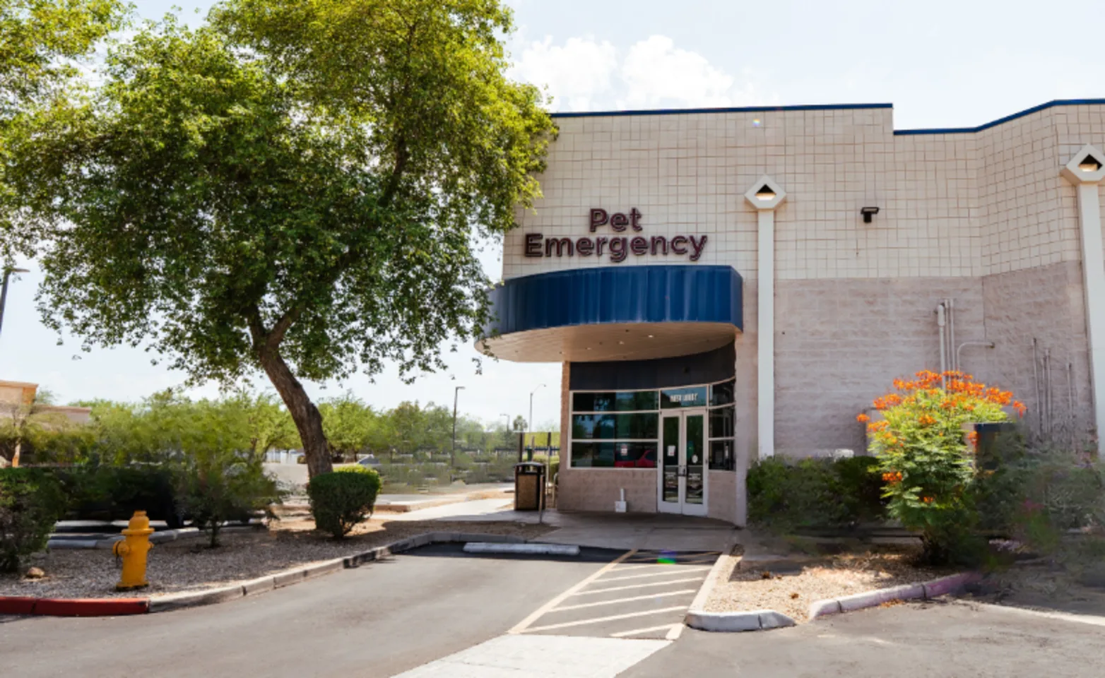 AVECC in Peoria, AZ AVECC in Peoria, AZ