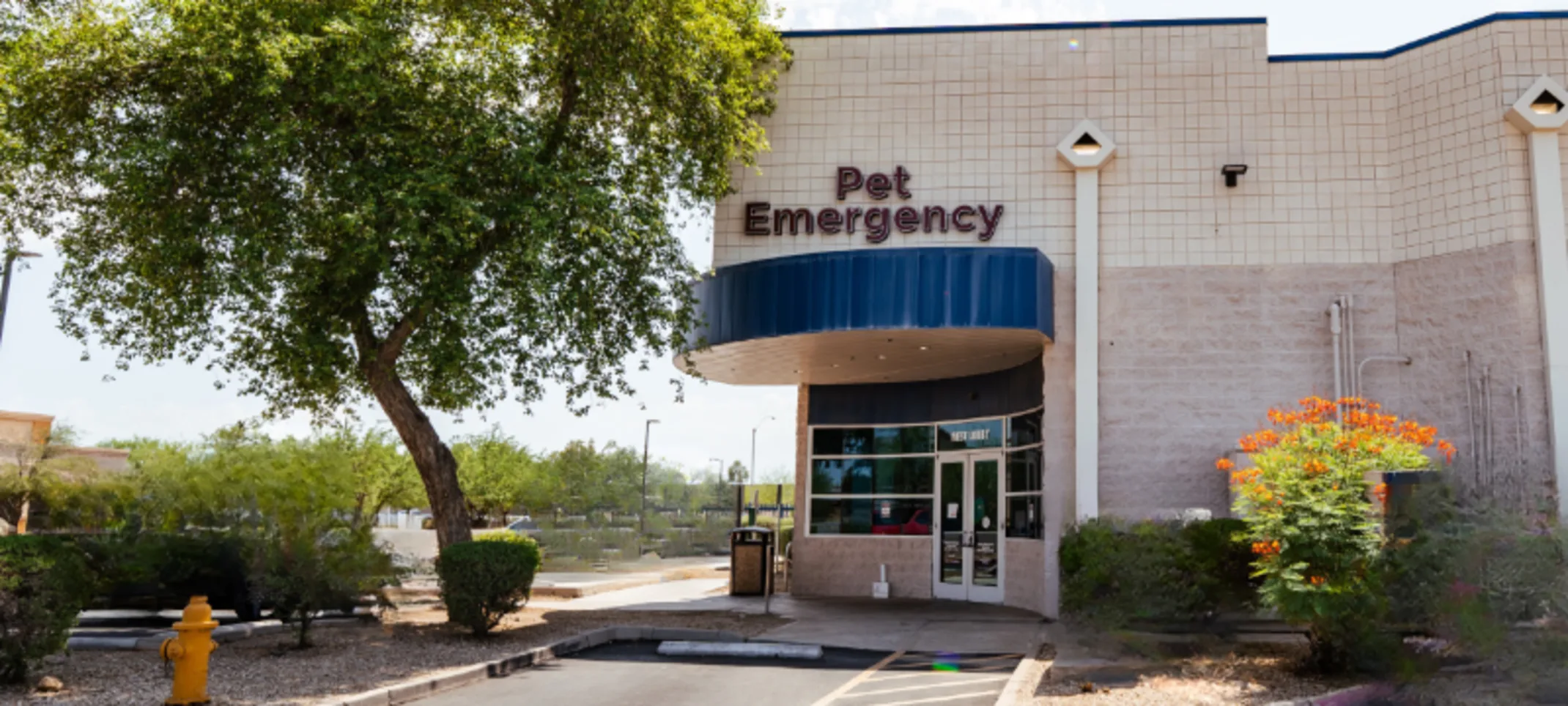 AVECC in Peoria, AZ AVECC in Peoria, AZ