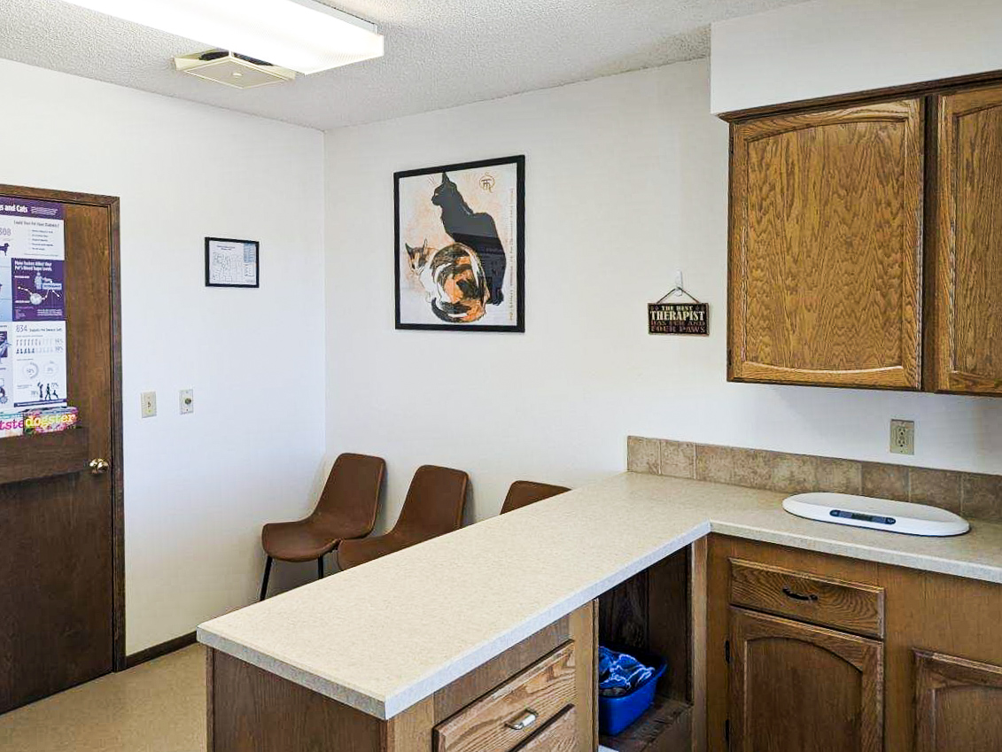 Exam room at Canterbury Animal Hospital