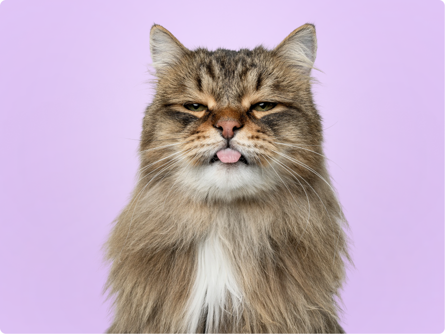 Siberian