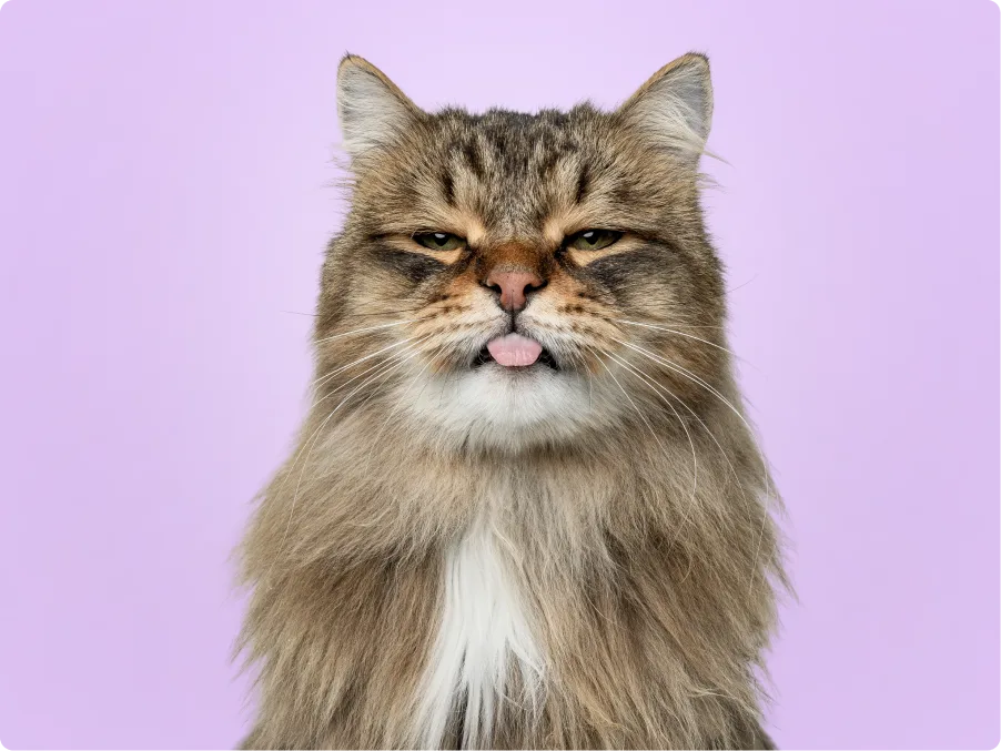 Siberian