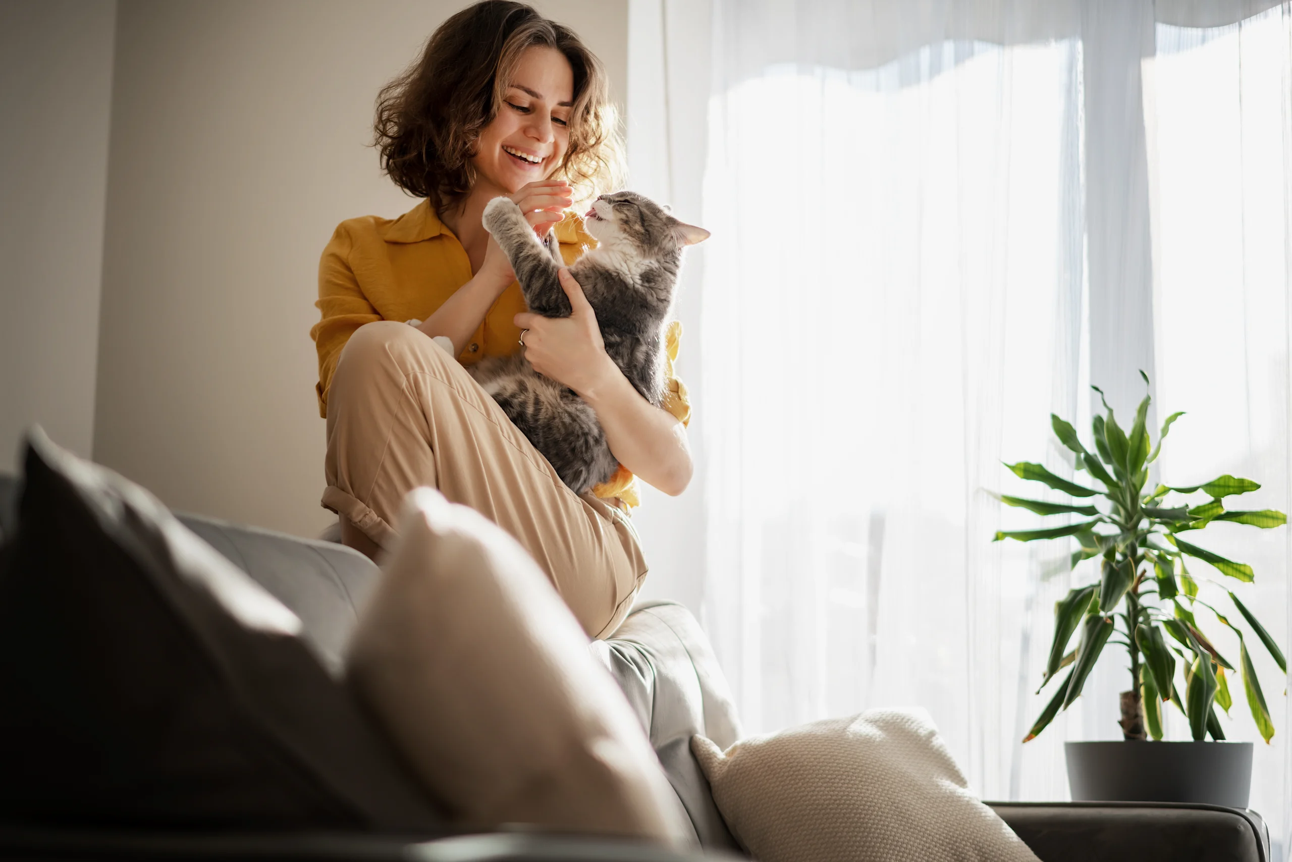 A smiling woman in a yellow shirt sits cross-legged on a couch holding and playing with a gray tabby cat