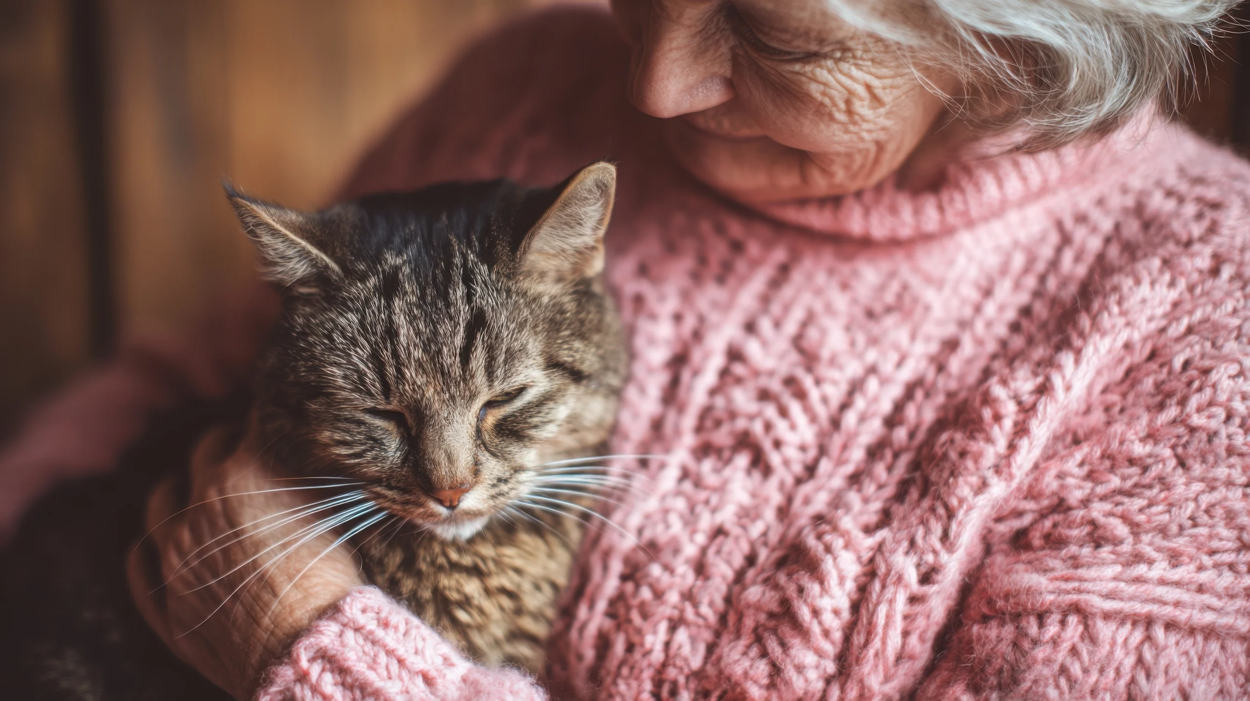An elderly woman in a soft pink knitted sweater with her tabby cat