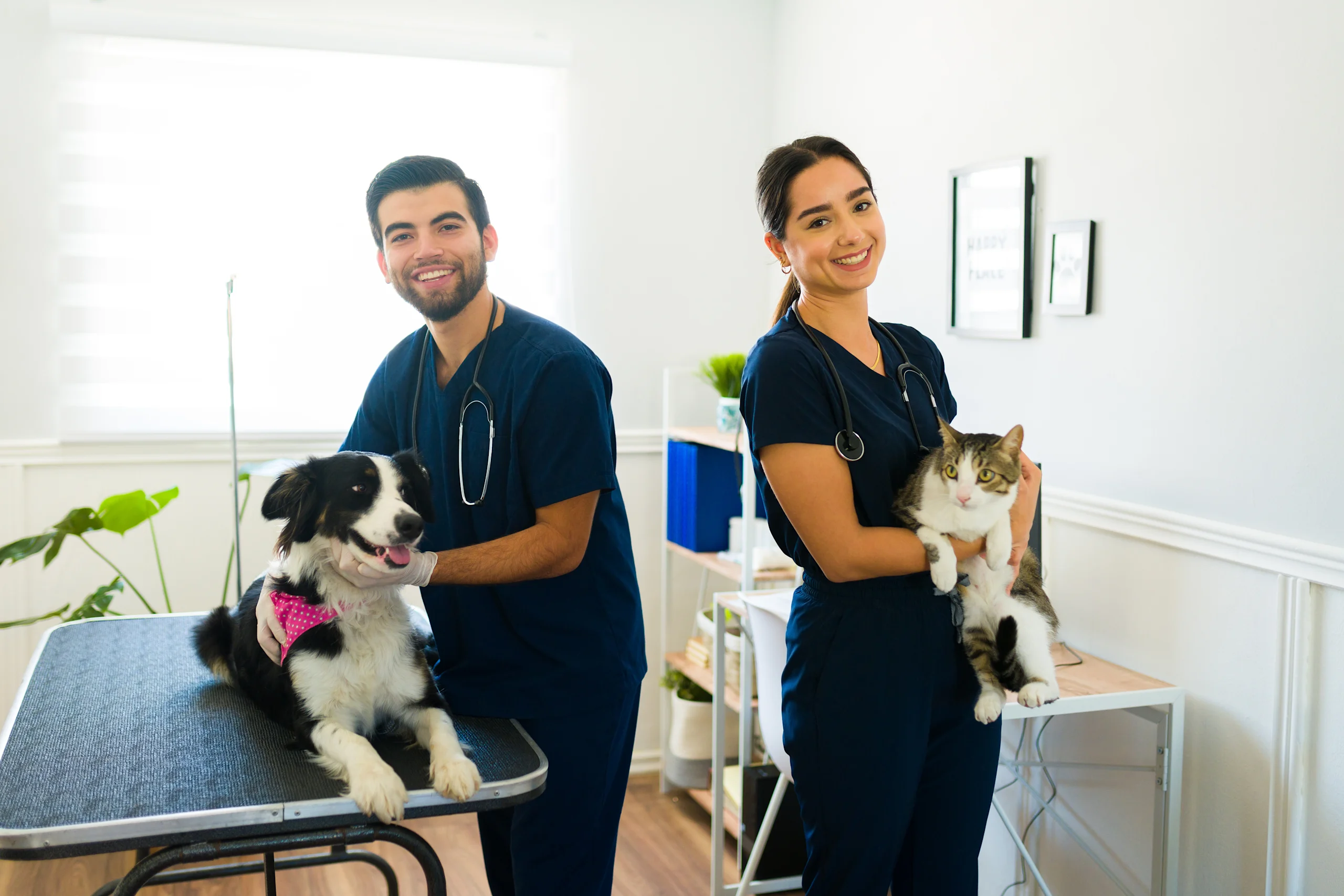 Veterinary Team With Dog and Cat