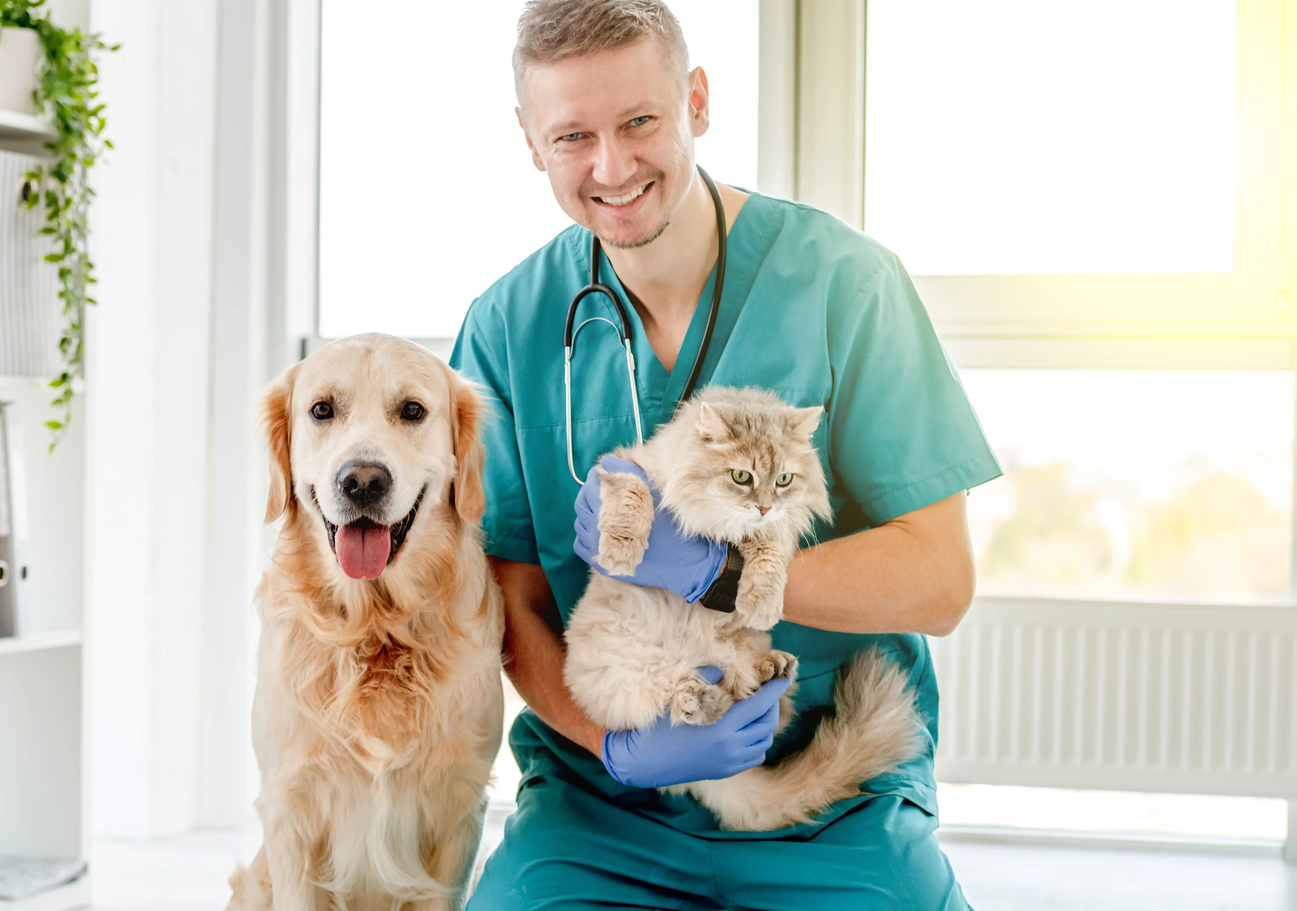 Smiling Veterinarian With a Dog and Cat