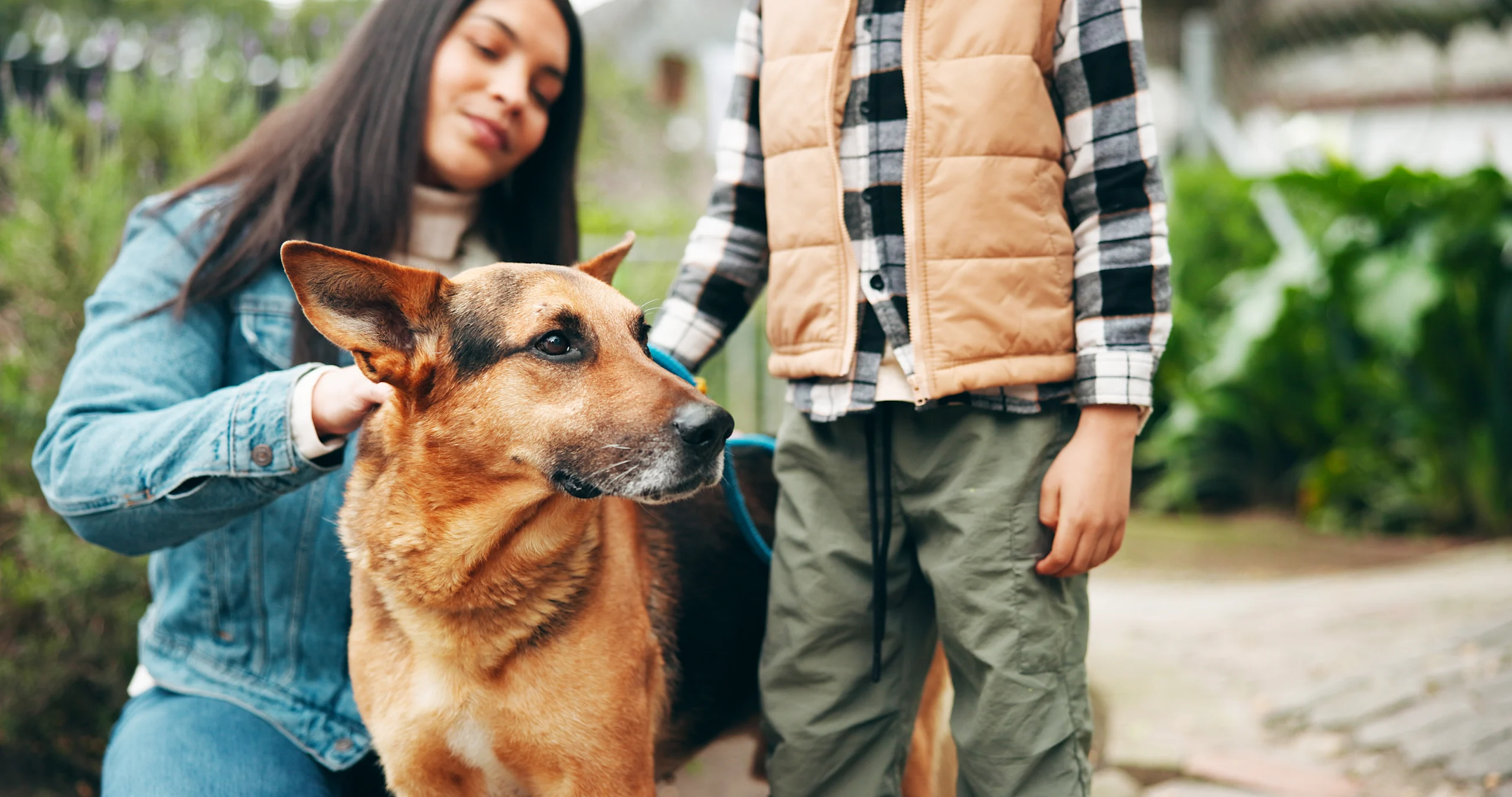 A woman and child spend time with their German Shepherd on a walk outside