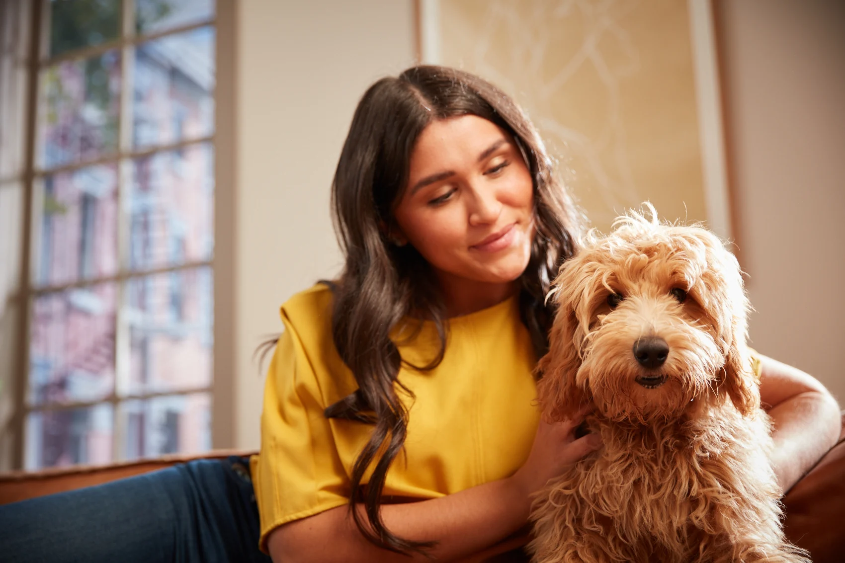 A pet owner sitting with their dog teaching them not to bark