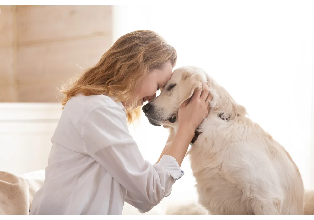 Pet Insurance Gives Peace