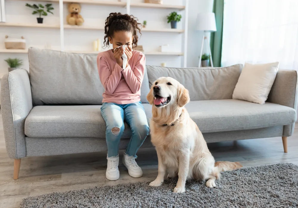 can dogs get flu from human