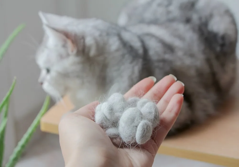 Hand holding hairballs from cat