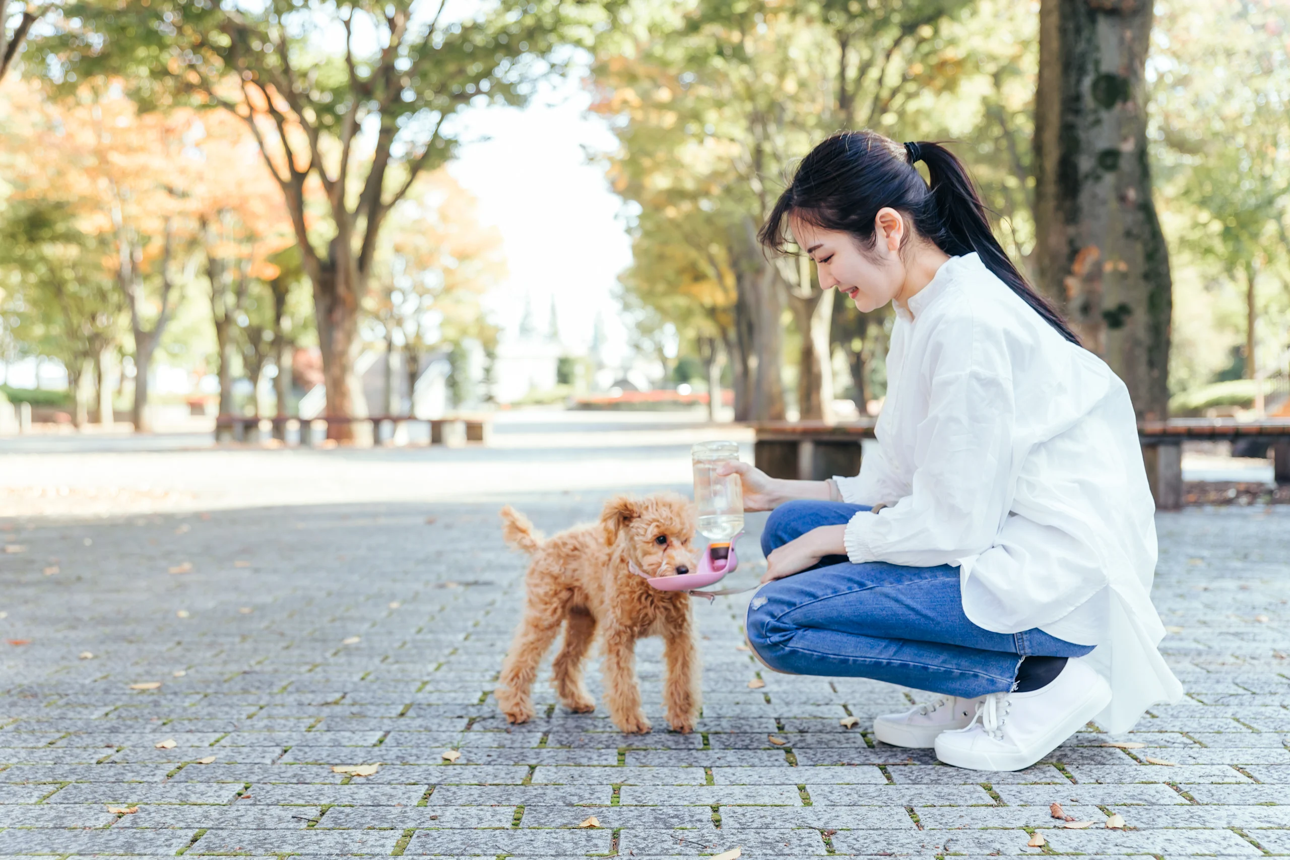 Woman Giving Water to Small Dog Outdoors